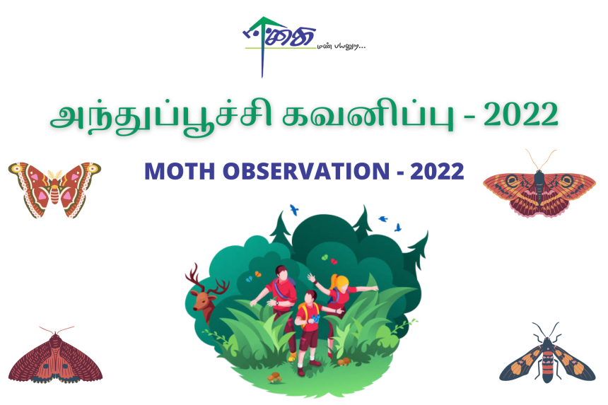Moth Survey Kuralkuttai Village – 2022